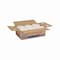 Georgia-Pacific Pacific Blue Ultra Hardwound Paper Towels, 1 Ply, Continuous Roll Sheets, 1,150 ft, White, 6 PK 26490 - alternate 3